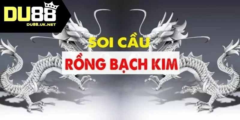 Lý do soi cầu rồng được nhiều tin tưởng